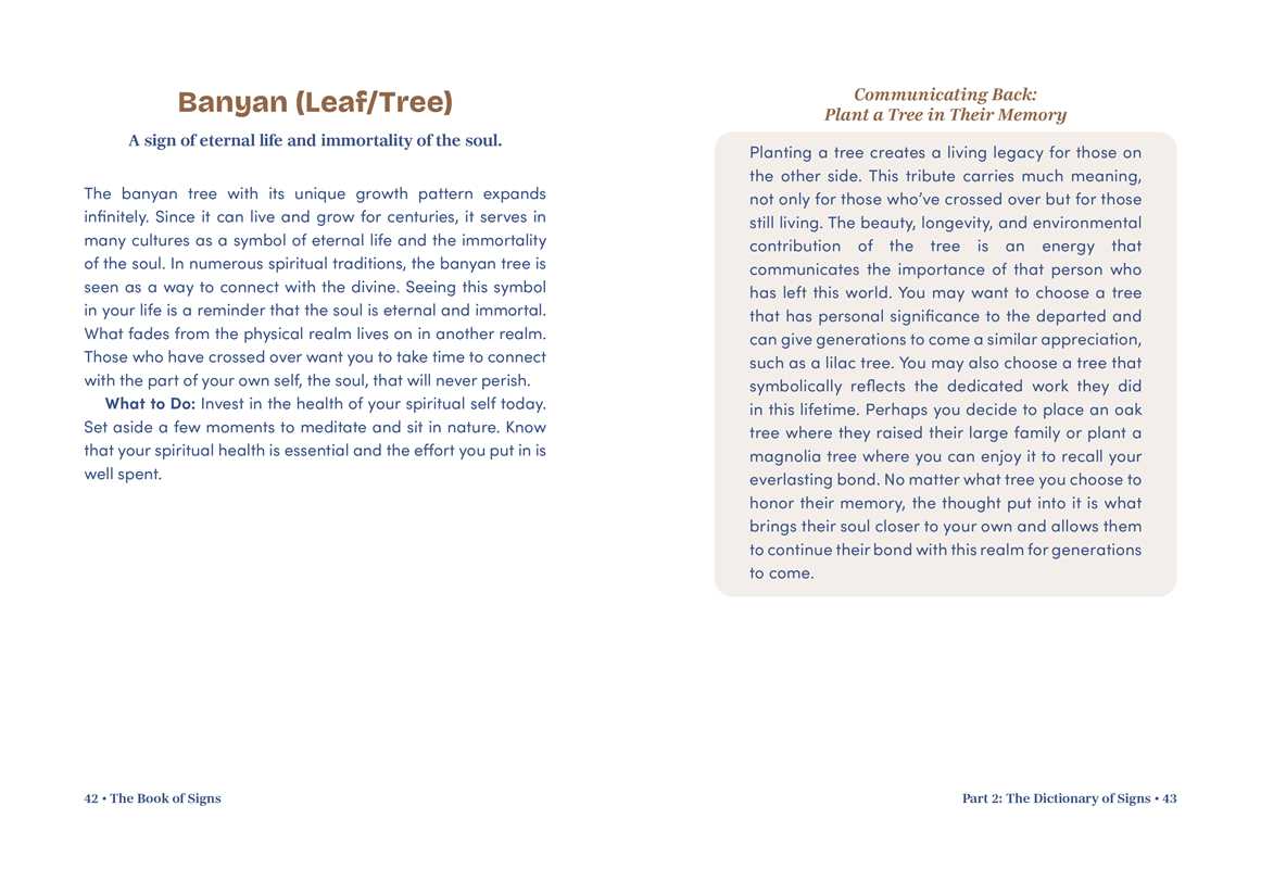 Simon & Schuster - Wholesale Body, Mind & Spirit - Book of Signs by Mystic Michaela2