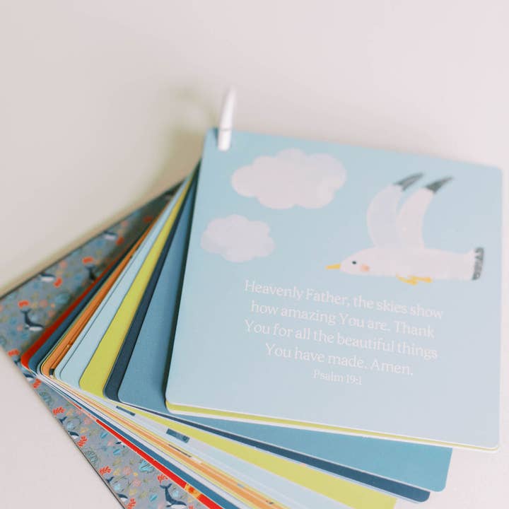 Tiny Theologians - Wholesale Learning Cards - Kids & Baby - My First Bedtime Prayers7