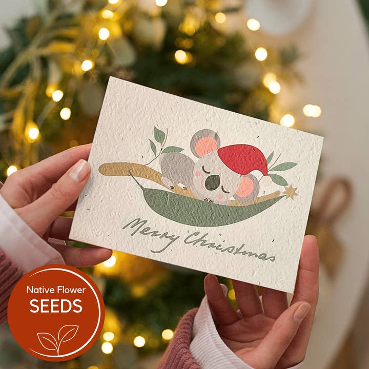 Plantable Christmas Koala Card - Native Daisy for wholesale by Native Seed Box