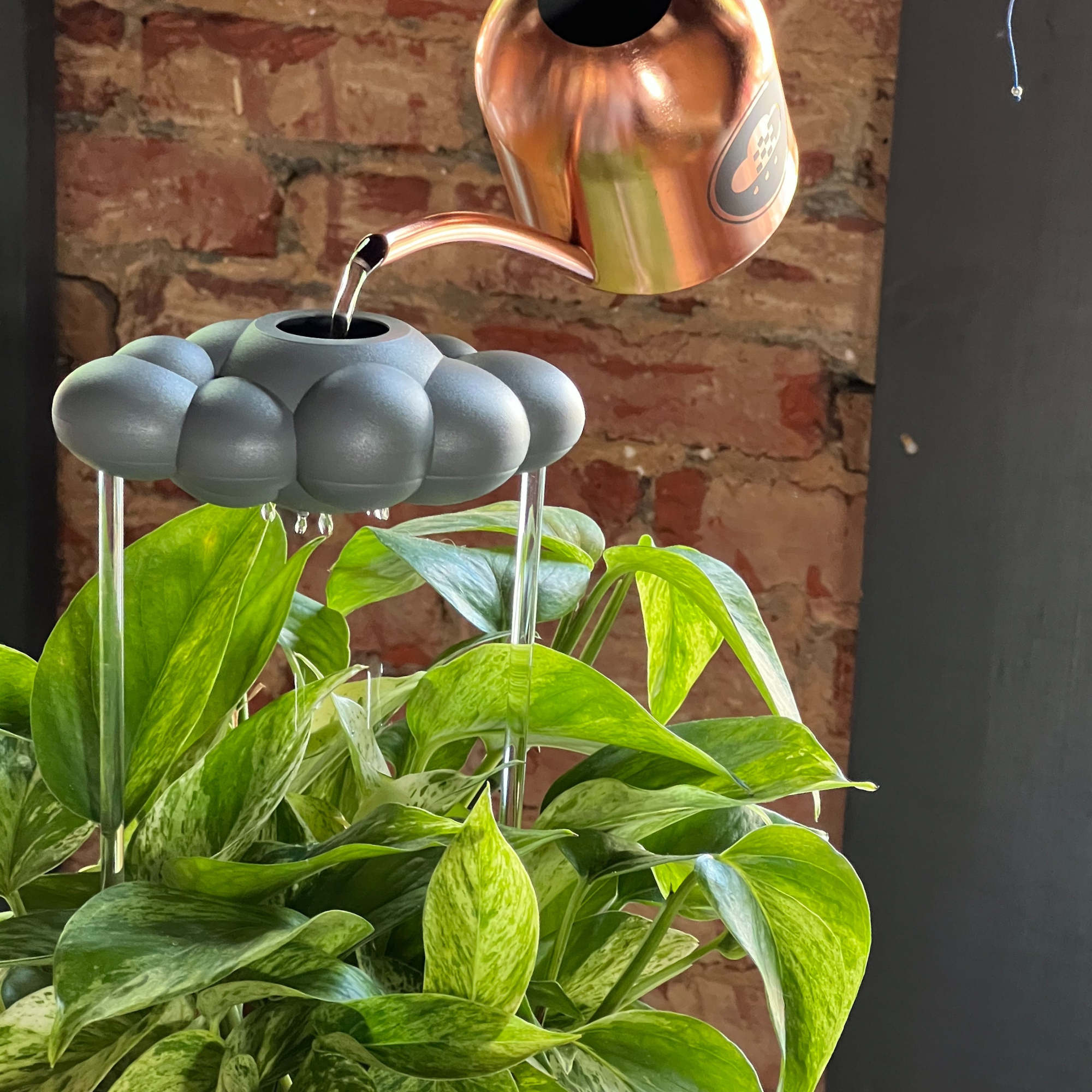 The Cloud Makers - Vendita all'ingrosso Annaffiatoi - Cloud di Pioggia Gocciolante Stormy1