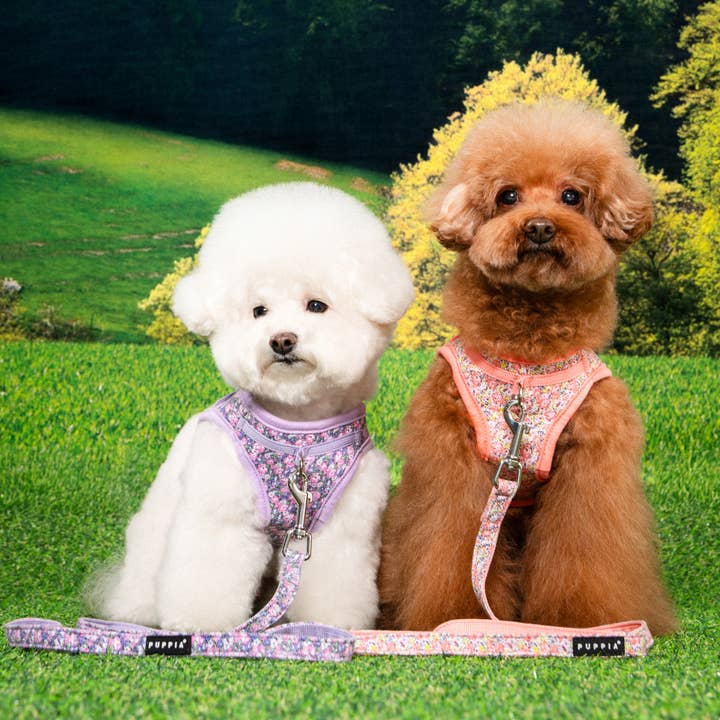 Puppia International Inc. - Wholesale Pet Harness - Dog - KEALOHA STEP IN DOG HARNESS FLORAL2