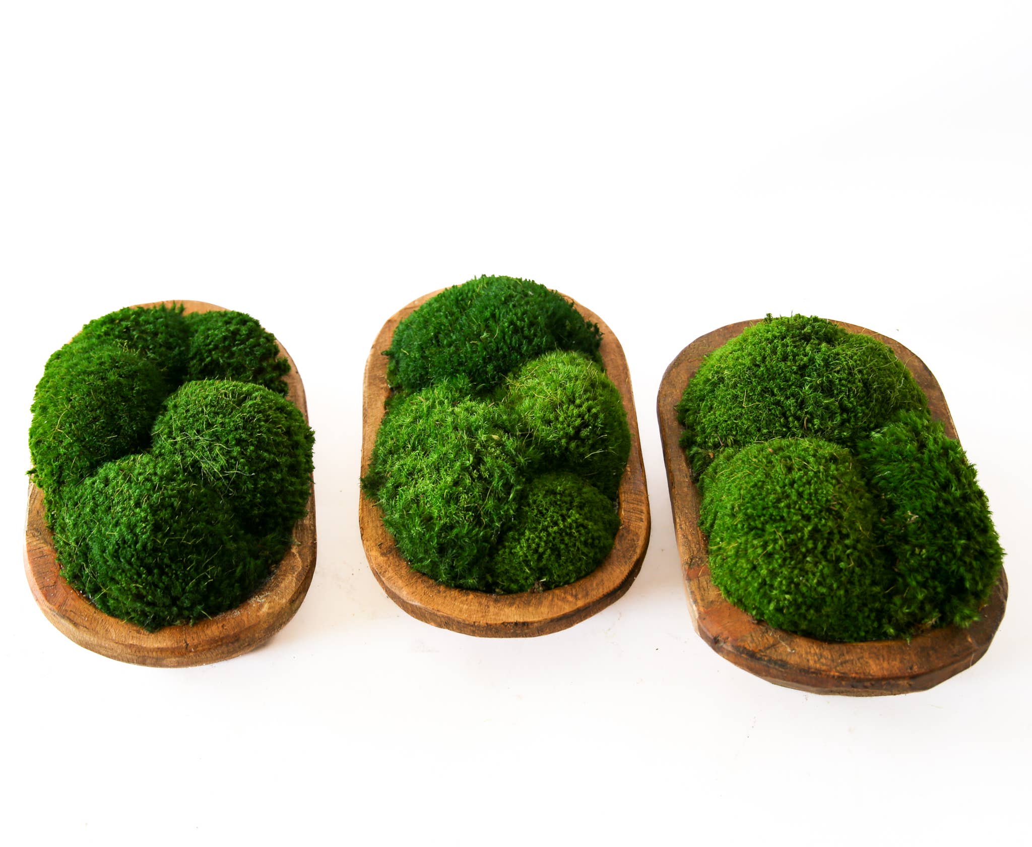 Forever Green Art – Engroshandel Pyntetallerken/skål – Moss Petite træfad4