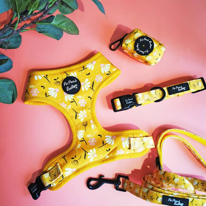 Pet Pooch Boutique - Vente Harnais – chien - Harnais pour chien Sunshine Daisy avec accessoire fleur optionnel8