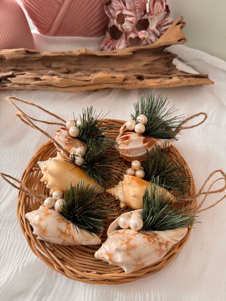 Natural Shell Holiday Ornament Set | Green Pine White Berry for wholesale by Salty Sea Company