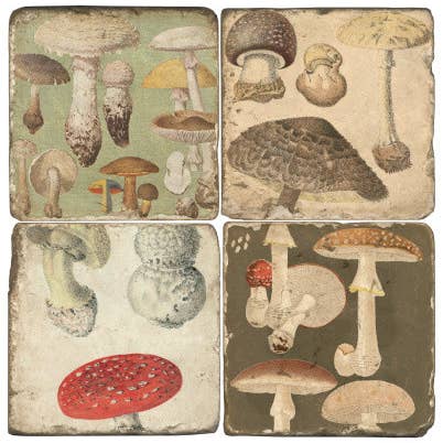 Ensemble de 4 sous-verres en marbre vieilli - Champignons vintage pour la vente par Studio Vertu