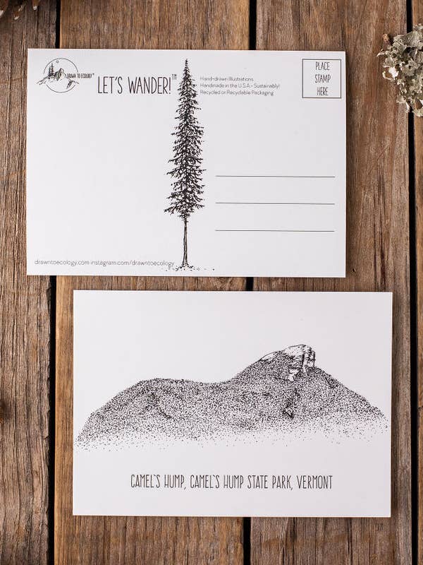 Camels Hump Postcard for wholesale by Drawn to Ecology