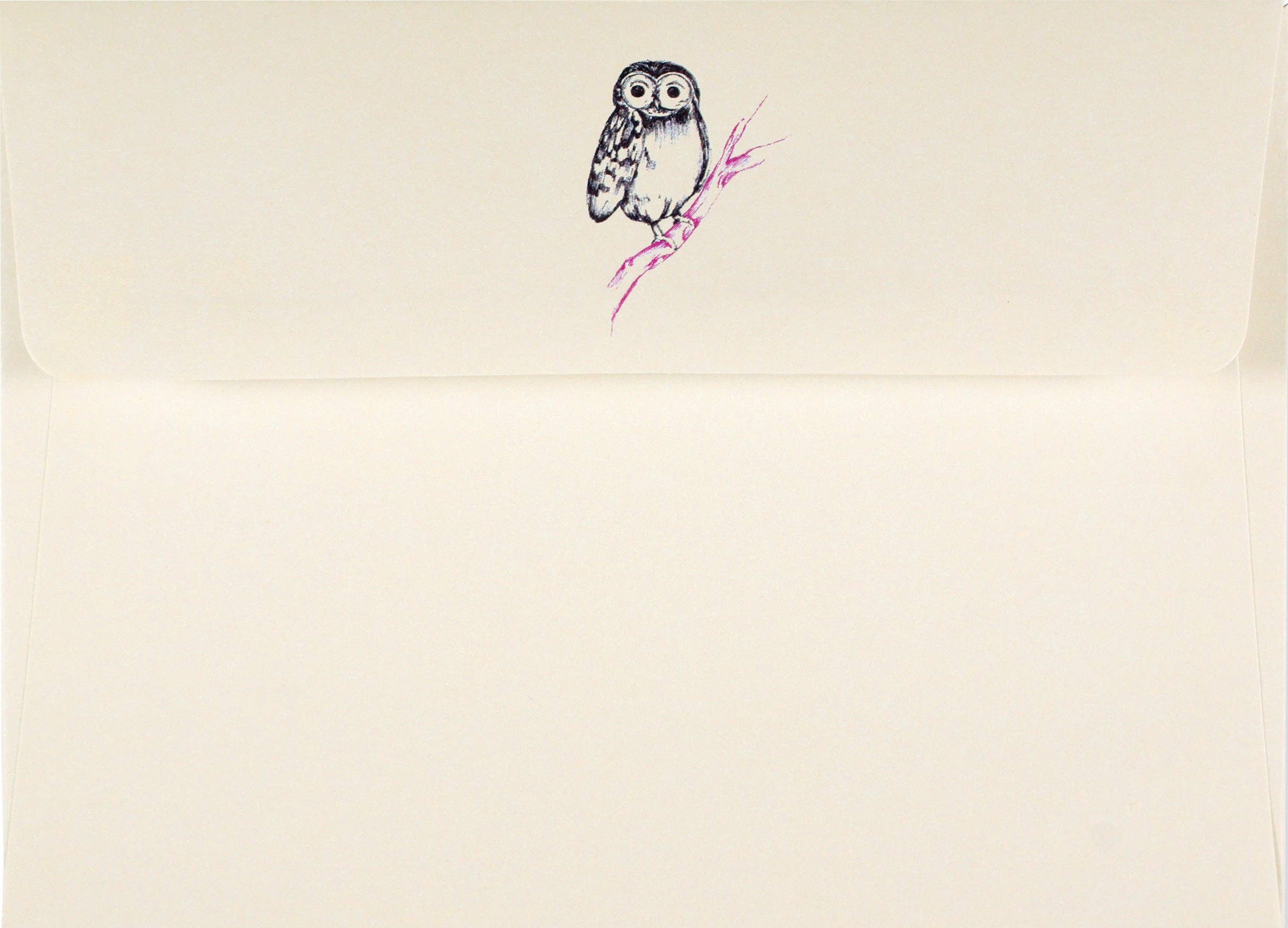 Peter Pauper Press - Wholesale Stationery/Notecard Set - Owl Portrait Note Cards1