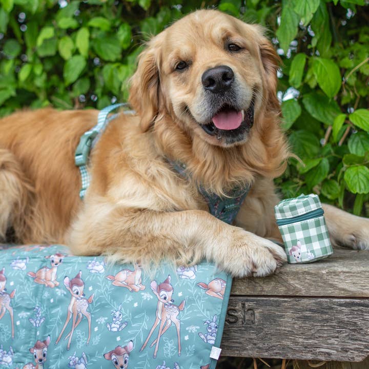 Tapis de voyage Disney© - Bambi + Thumper pour la vente par Pawsome Paws