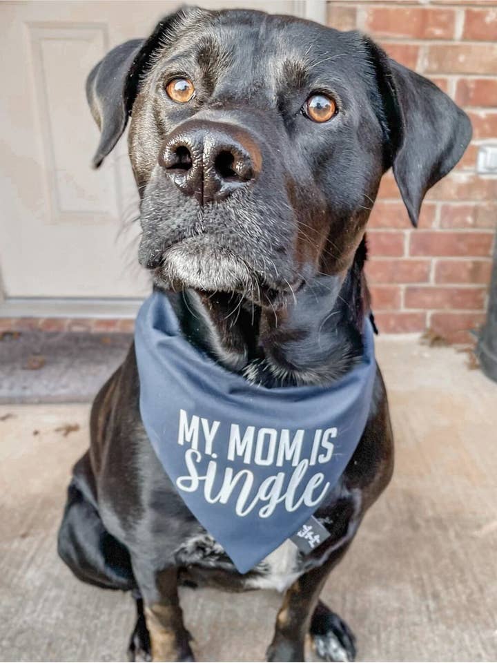 My Mom Is Single Dog Bandana - Funny Dog Bandana for wholesale by Tails Up, Pup