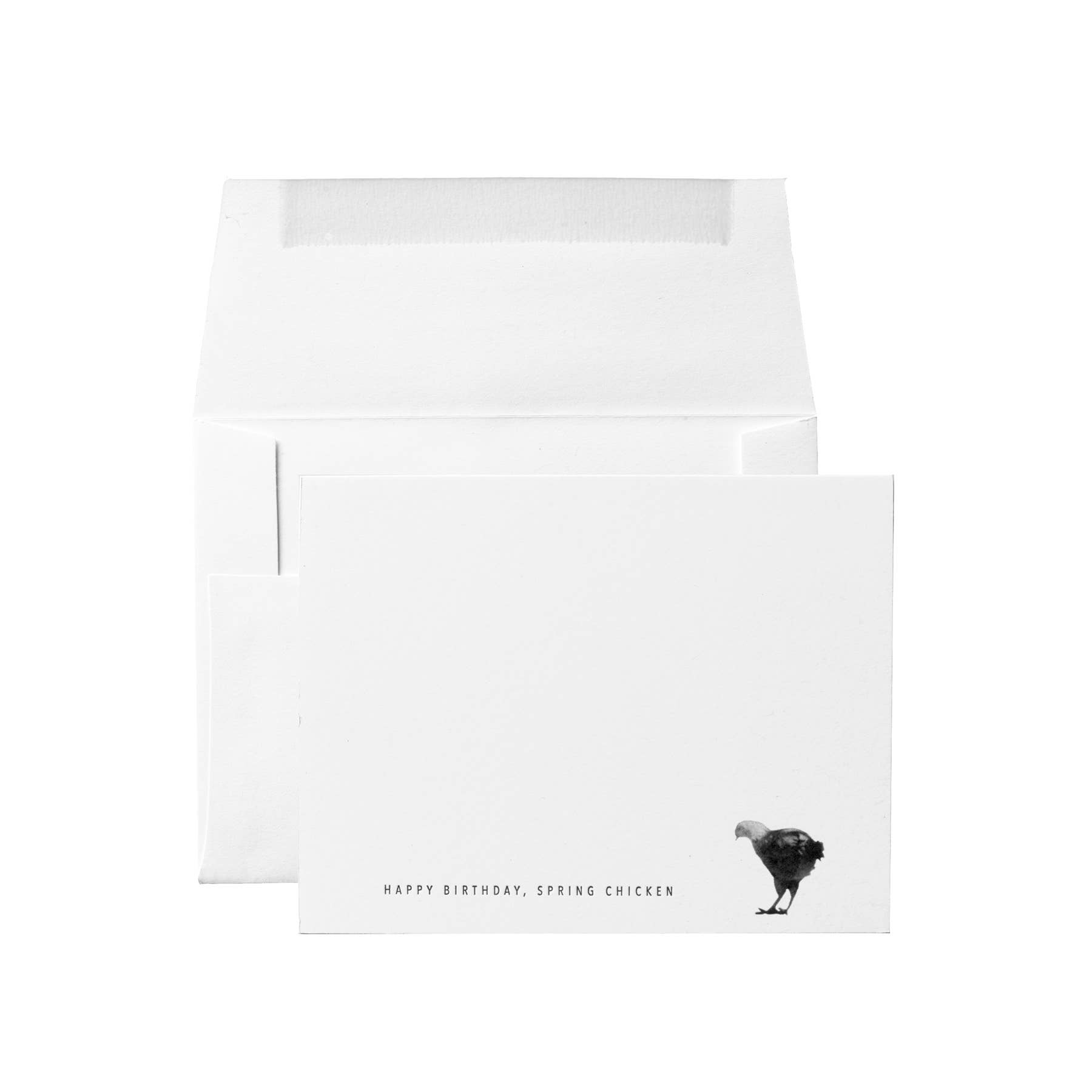 Embued Photophiles – Großhandel Geburtstagskarten – Hühnchen Happy Birthday, Spring Chicken Karte2