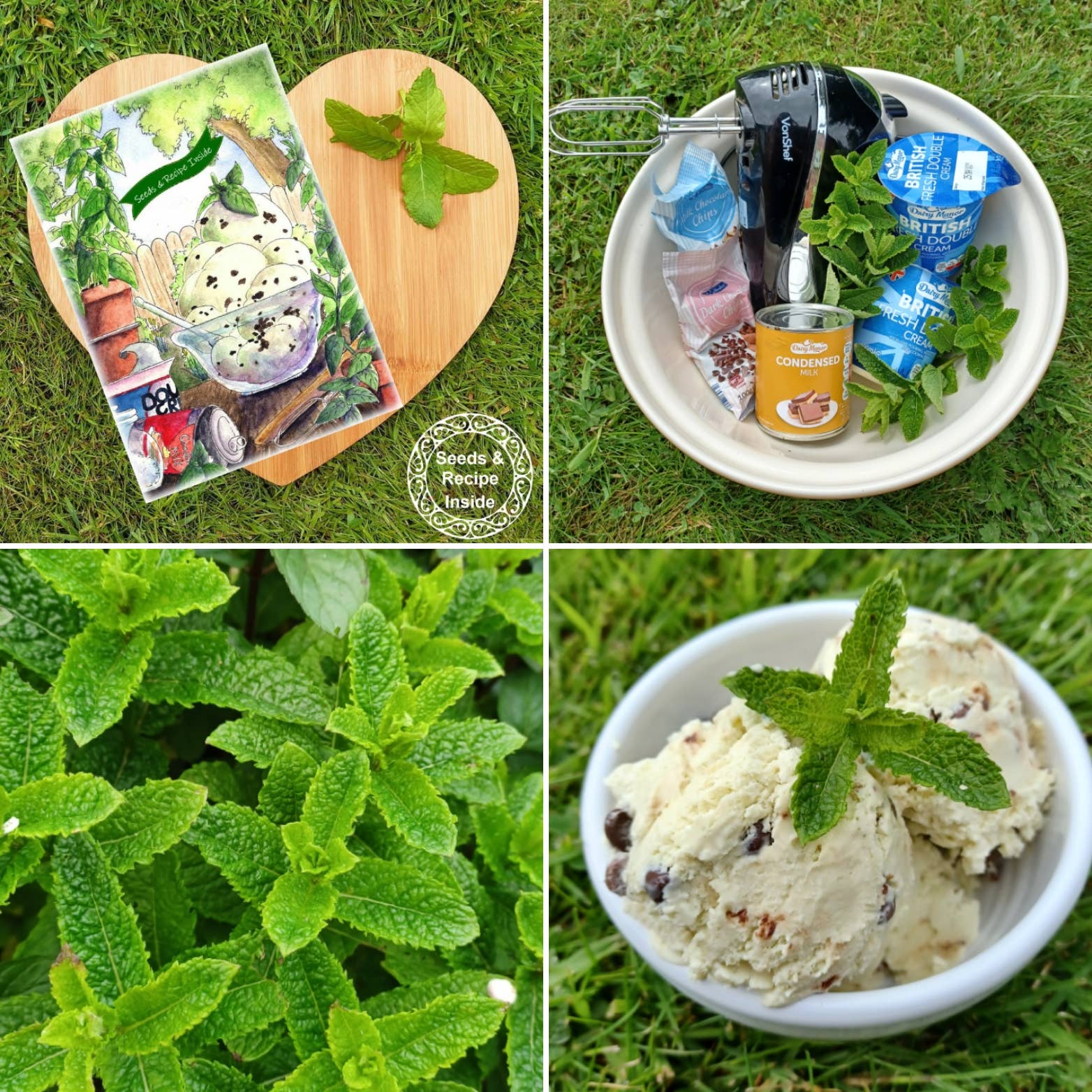 Seeds with Love - Wholesale Everyday Greeting Card - Seed & Recipe Card  - No Churn Mint Choc Ice-Cream3