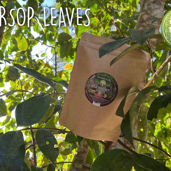 Ancient Purity - Wholesale Loose tea - Soursop Leaves - 20g | Whole un-crushed | Grown in Thailand4