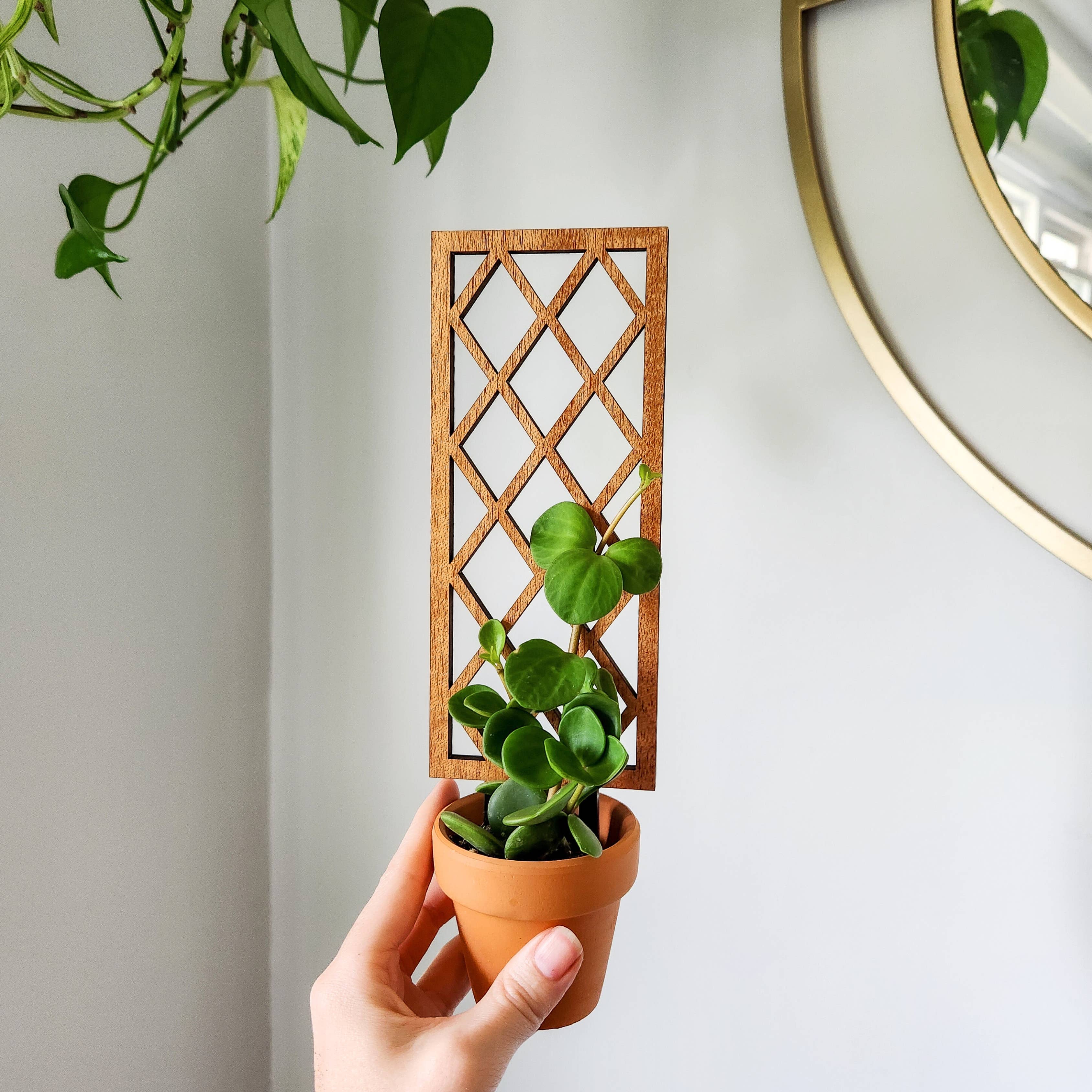 Leaf & Node - Wholesale Trellis - Lattice Indoor Wooden House Plant Trellis (2 Size Options)0