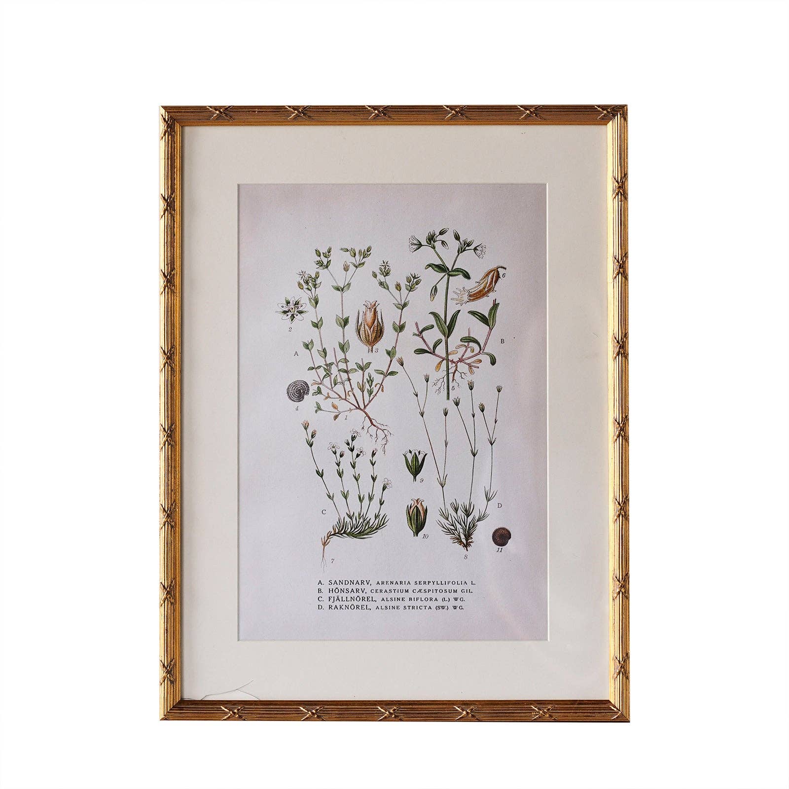 Blue Ocean Traders - Wholesale Picture Frame - Arundel Matted Frame3