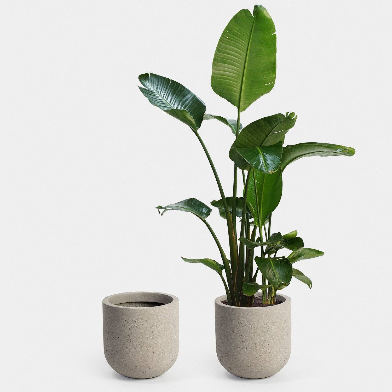 Greenery Unlimited - Vente Pot - Grande jardinière Wythe 302