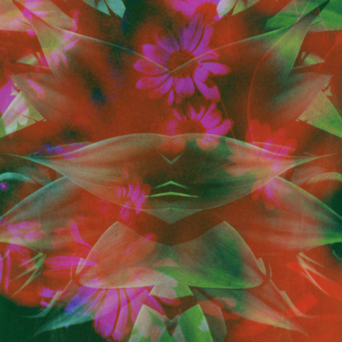 Puff Coffee - Wholesale Coffee Beans - Mexico El Acido1