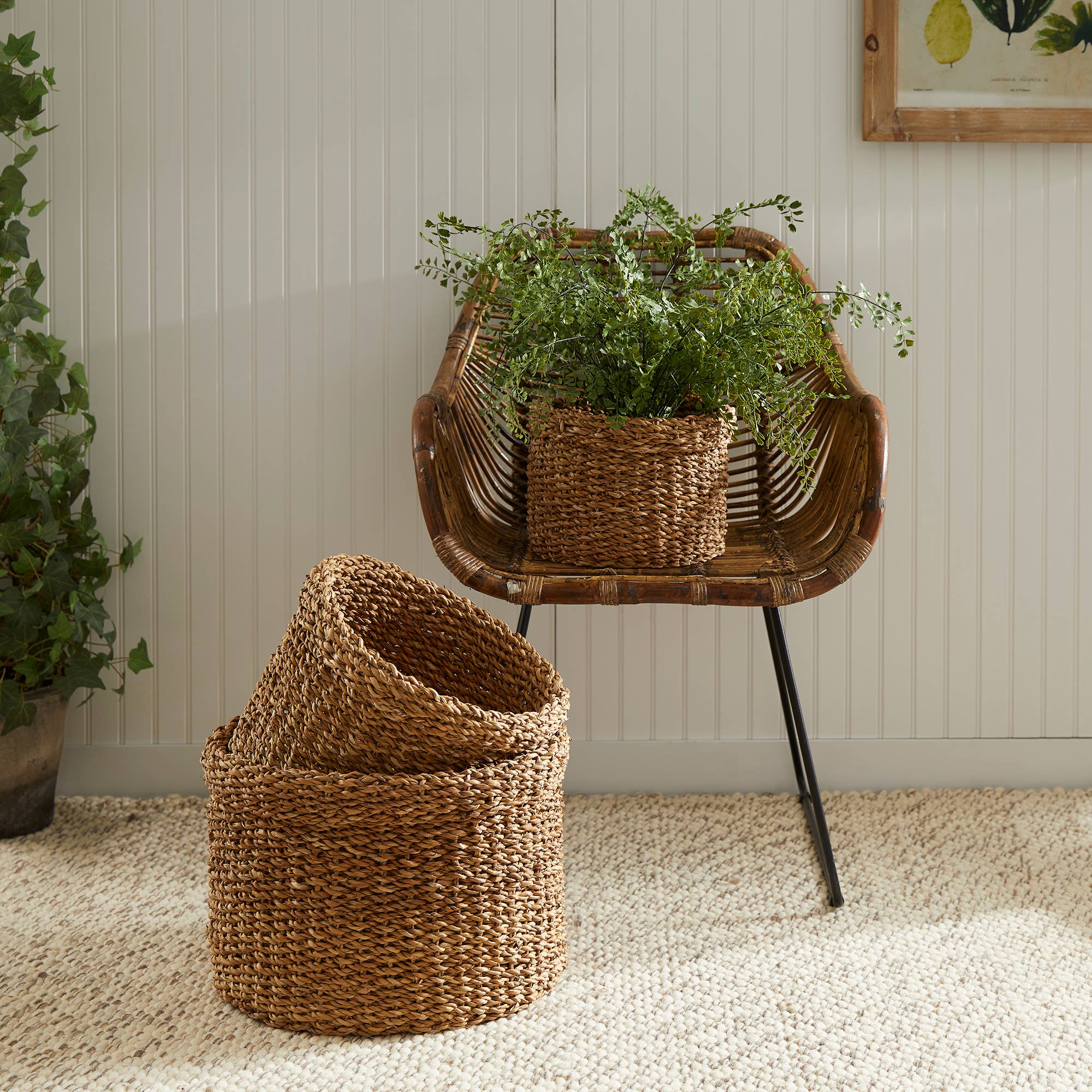 Napa Home & Garden - Wholesale Basket - Seagrass Round Baskets With Cuffs, Set of 31