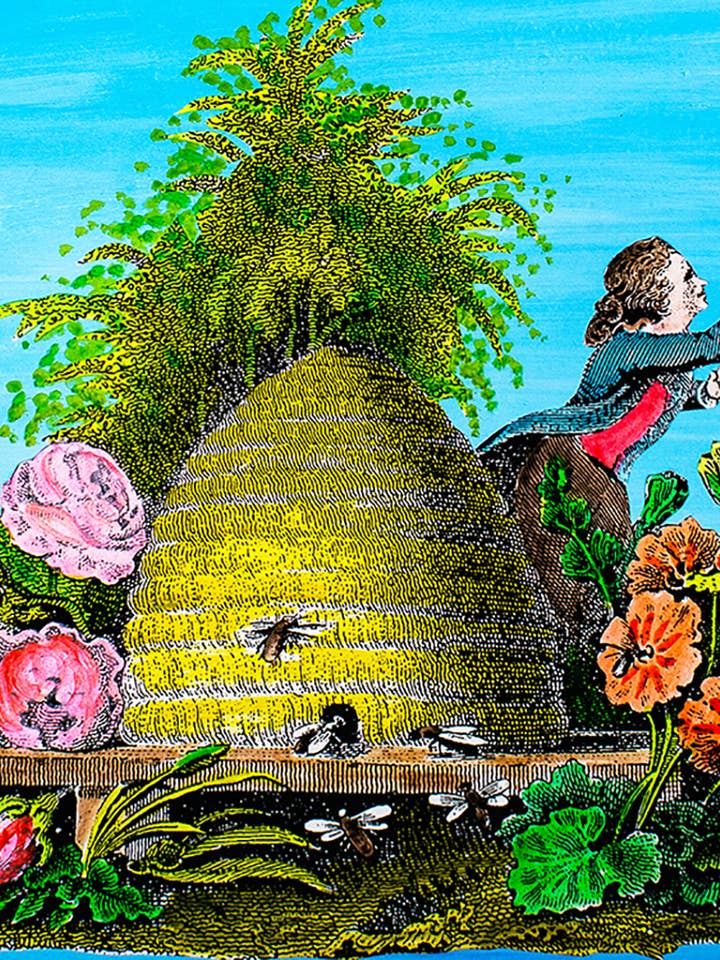 Tarjeta de felicitación ecológica diaria Colmena para venta al por mayor de Diana Wilson Arcana