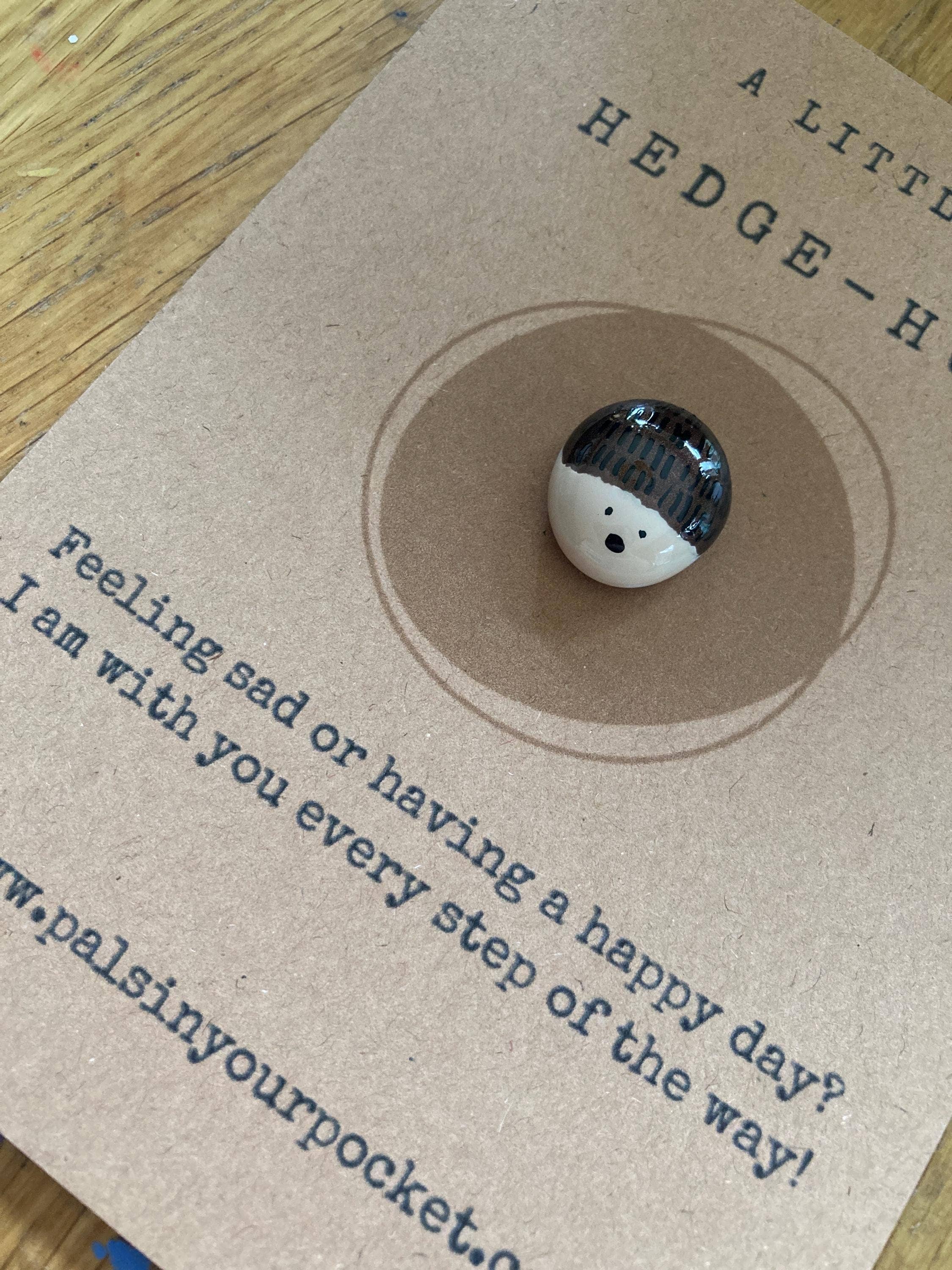 Pals in your Pocket – Moeda colecionável por atacado – Pedra de Bolso para Alívio da Ansiedade de Ouriço para Amantes de Animais2