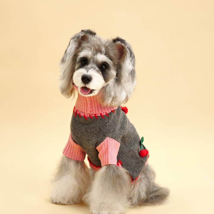BarkBarkBaby - Wholesale Pet Sweater - Dog - Cherry Kiss Sweater4
