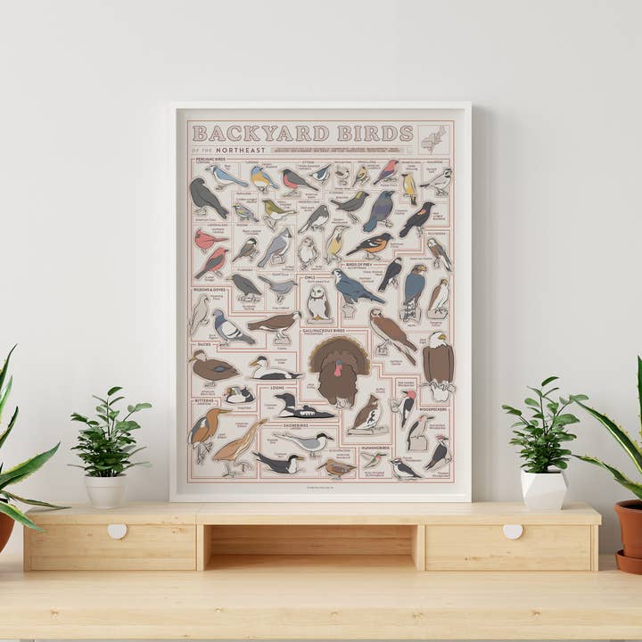 Pop Chart - Wholesale Art Print - Birds of the Northeast Scratch-Off Chart | 12" x 16" Print3