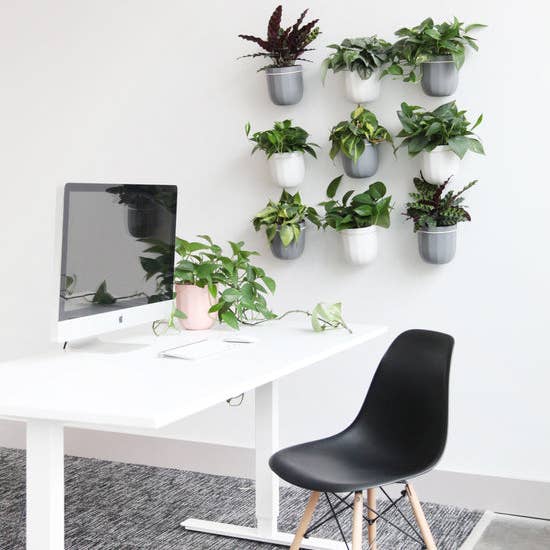 WallyGrow - Wholesale Hanging Planter - Loop Hanging Planter in Gravel