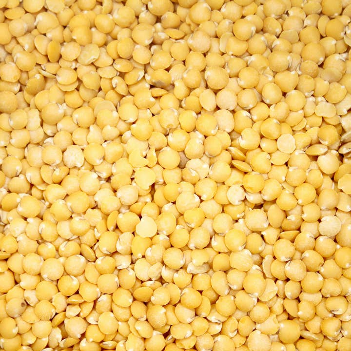 Timeless - Wholesale Beans - Organic Harvest Gold Lentils2