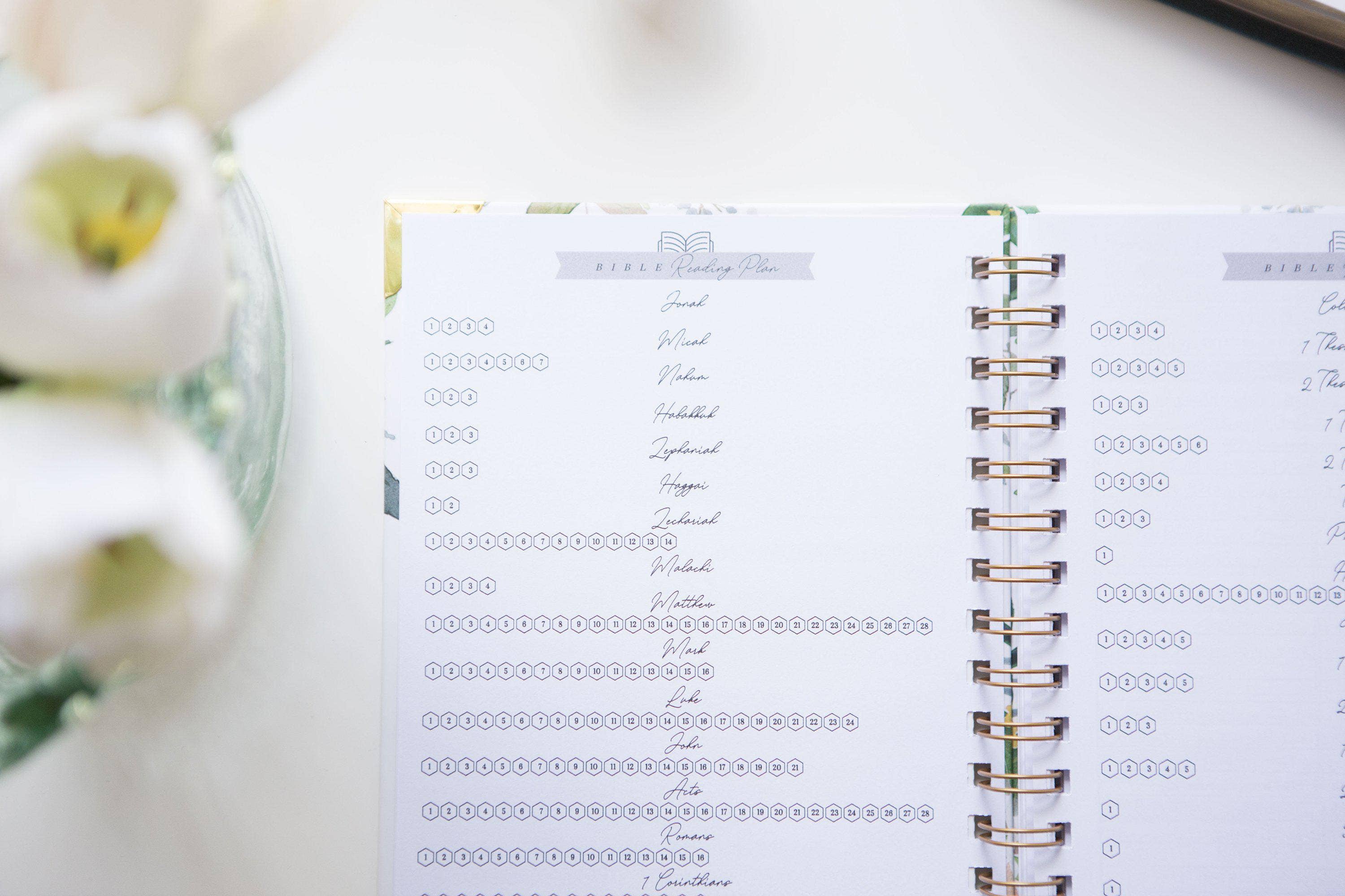 Chosen & Cherished - Wholesale Journal/Diary - Bible Study Journal | Inductive Bible Study1