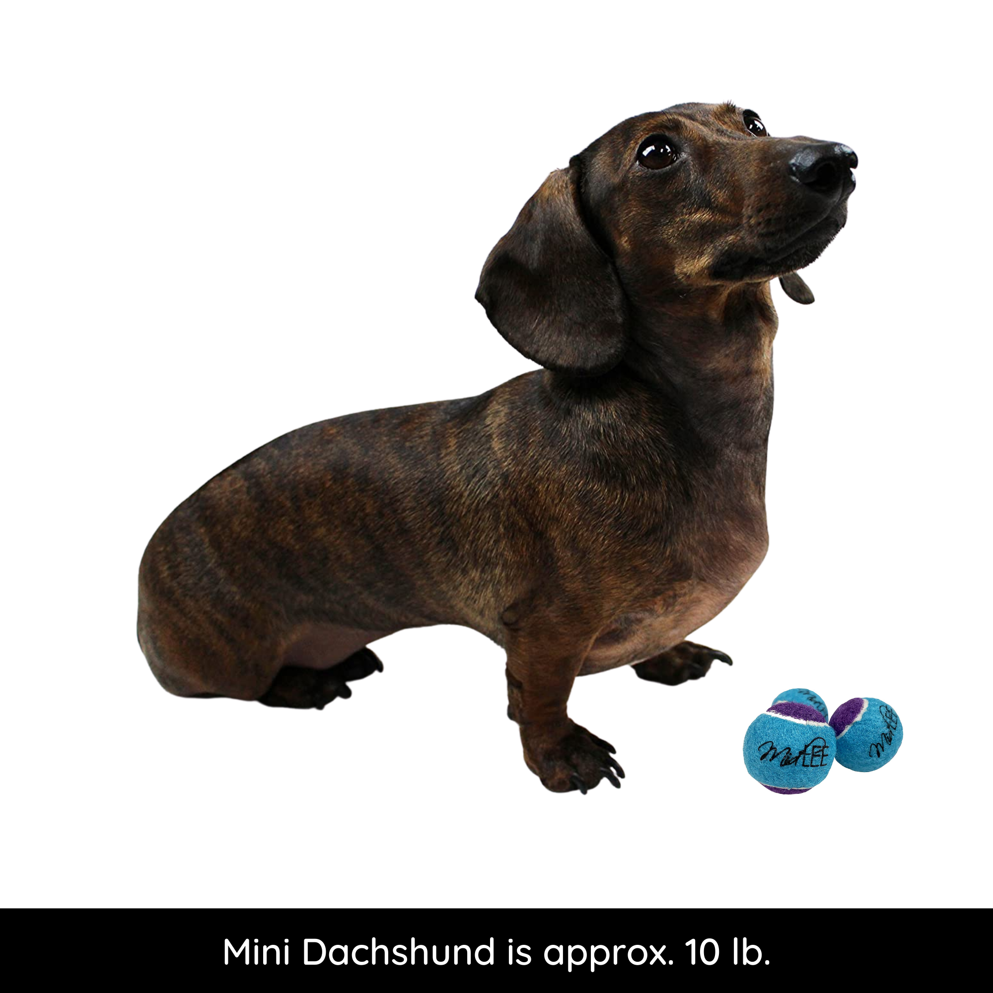 Midlee Designs - Wholesale Pet Fetch Ball - Dog - Midlee X-Small Dog Tennis Balls 1.5" - 12 Pack (Assorted)10