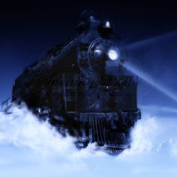 Toile de fond en vinyle de 8 pi x 8 pi/photographie personnalisée pour la vente par Swanky Prints