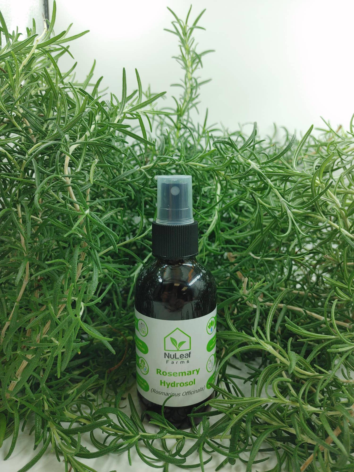 NuLeaf Farms - Vendita all'ingrosso Spray/Acqua viso e corpo - Idrosol al rosmarino1