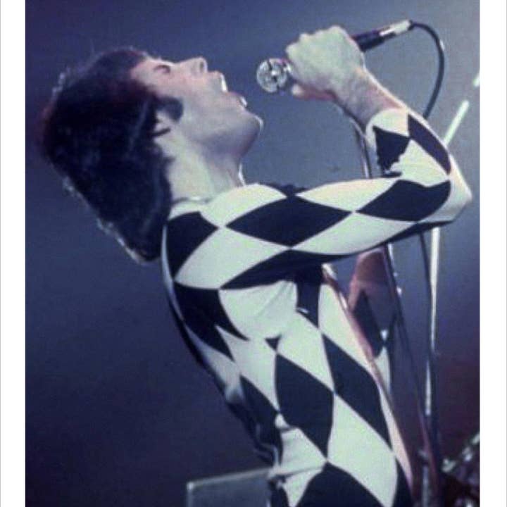 Freddy Mercury Performing at New Haven C for wholesale by The Retrospect Group Collection