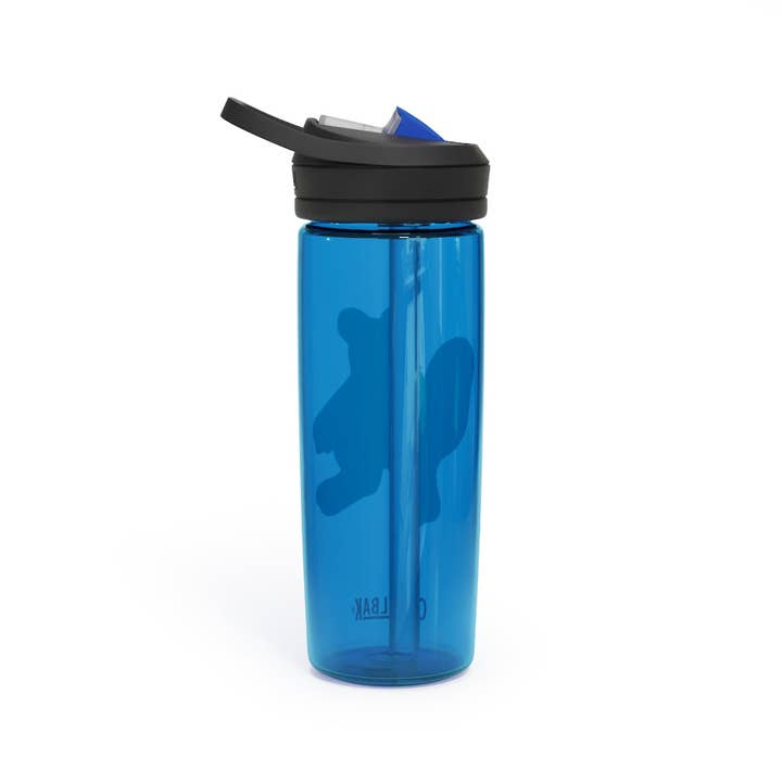 Marick Booster – wholesale Water bottle – Beachu CamelBak Eddy® Water Bottle, 20oz\25oz
