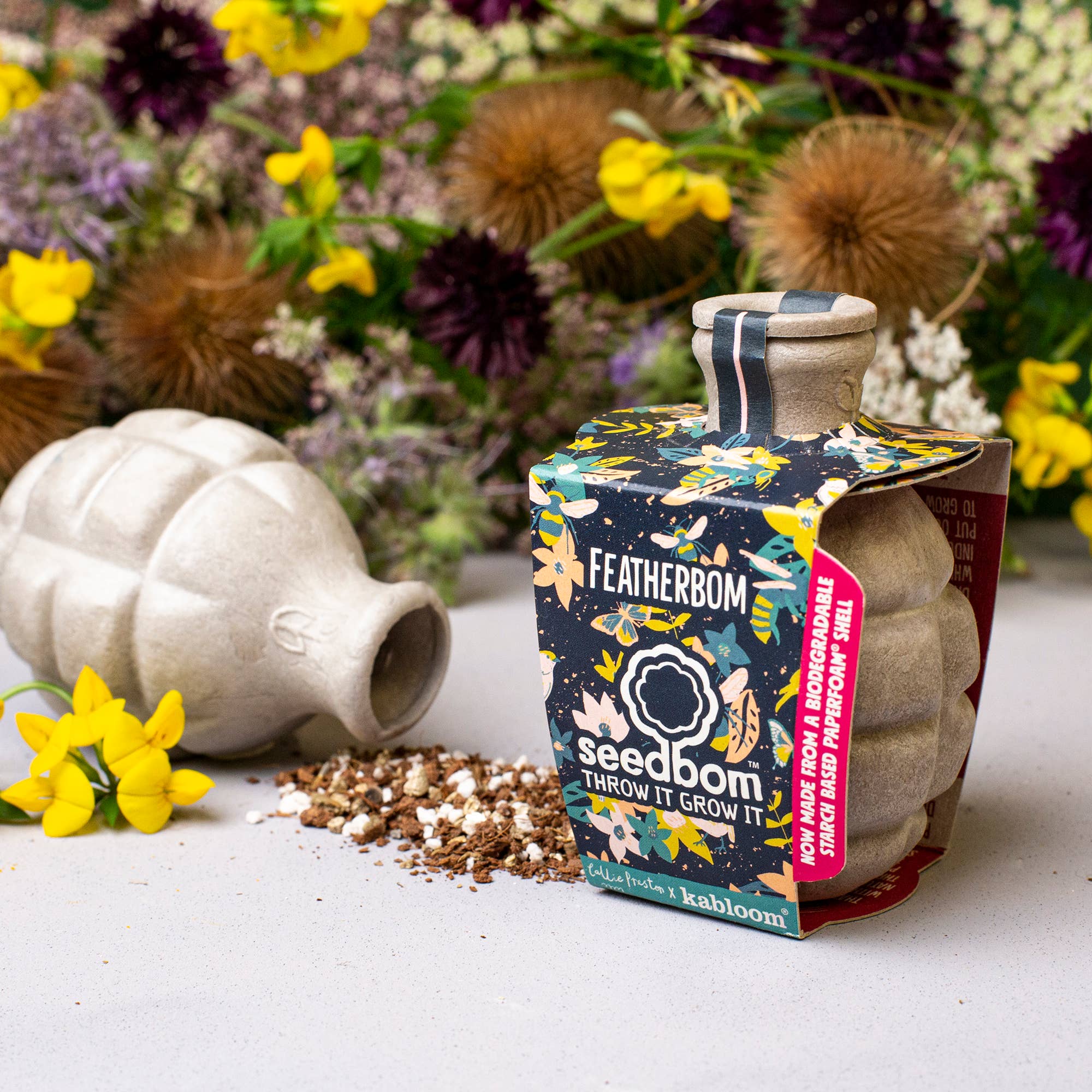 Shroot: Kabloom Seedboms – wholesale Plant seeds – Featherbom Seedbom - CDU Pack - Bird-Friendly Wildflowers1
