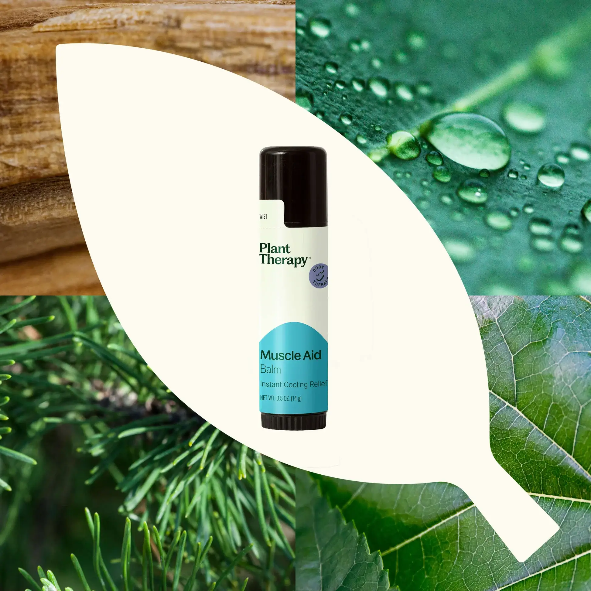 Plant Therapy - Wholesale Healing Salve/Balm/Cream - Muscle Aid Balm 0.5oz2