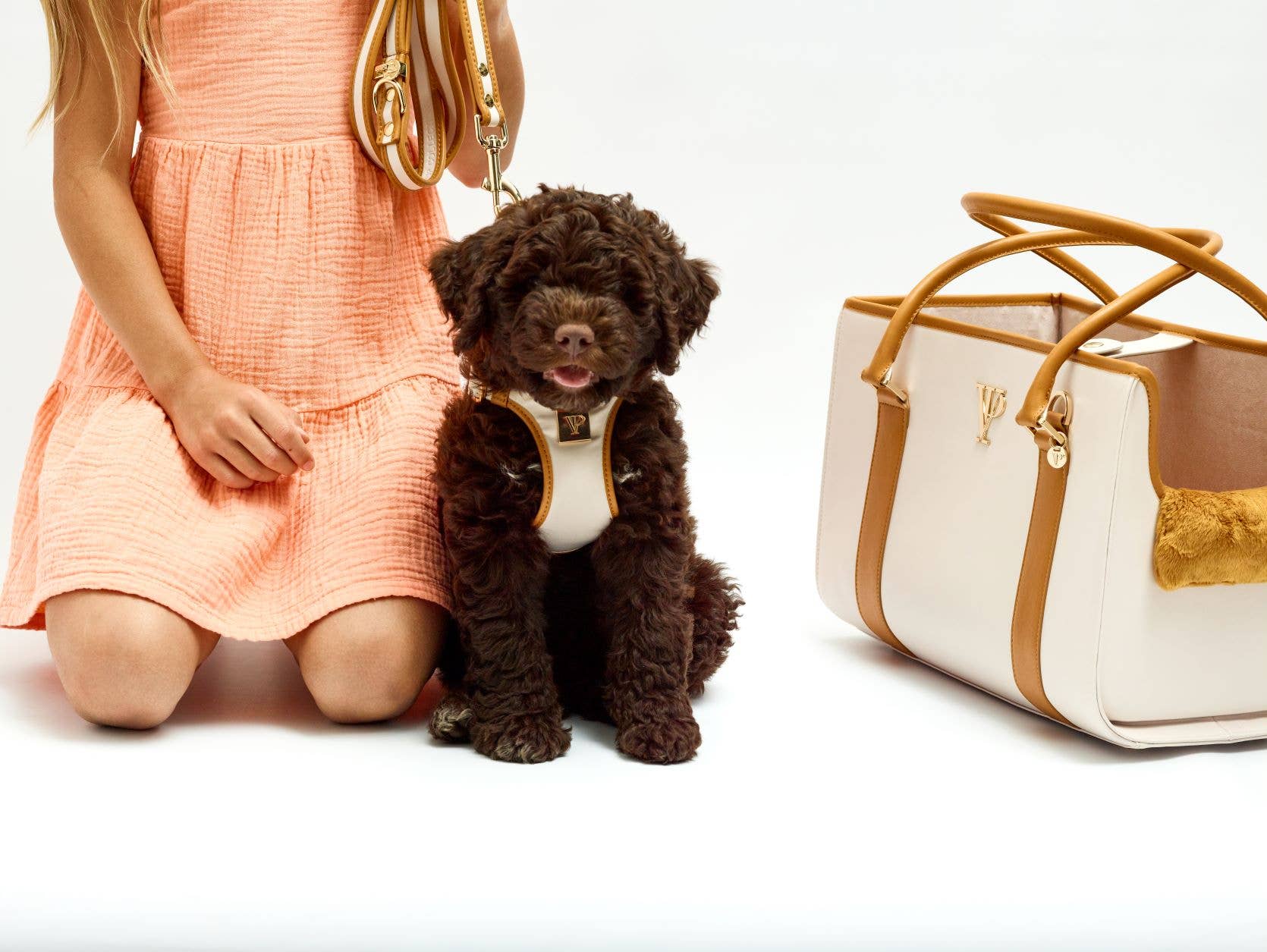 The V.I.PUP Collection - Wholesale Pet Harness - Dog - Denim Victorian 88 & Gold Harness4