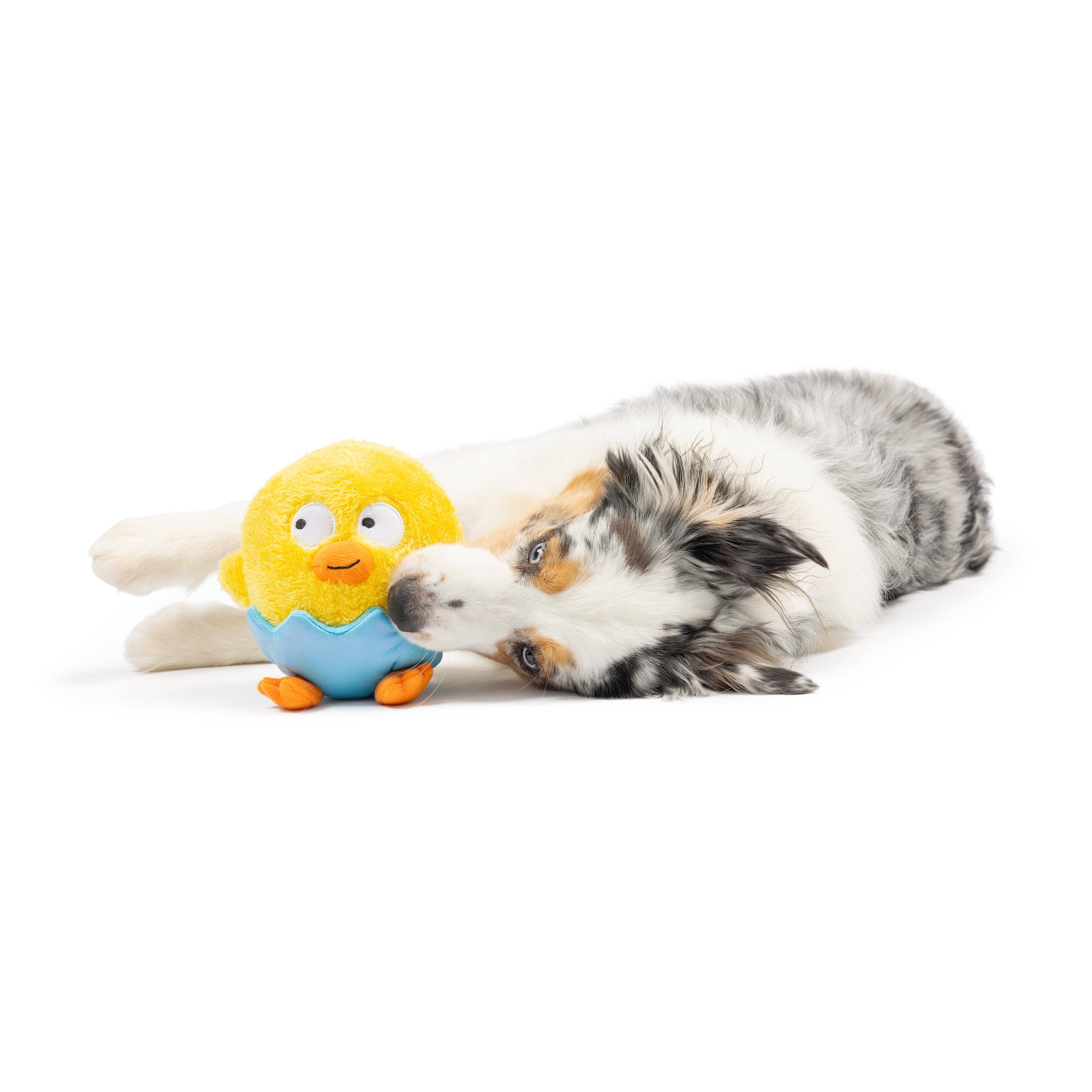 Huxley & Kent - Vente Peluche – chien - Jouet pour chien Chick-A-Dee1