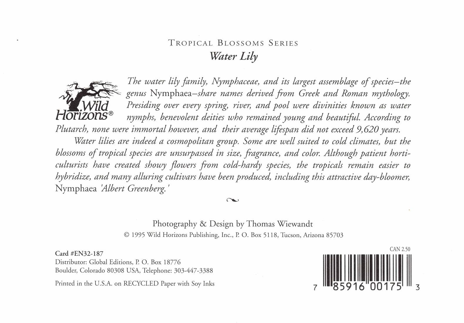 Wild Horizons Productions - Wholesale Stationery/Notecard Set - Notecard +Envelope:  Tropical Flowers, Water Lily1