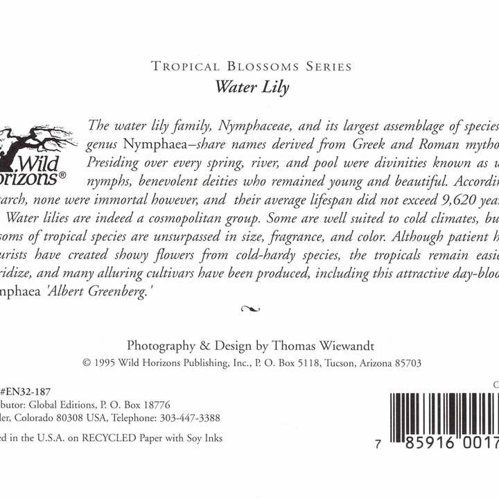 Wild Horizons Productions - Wholesale Stationery/Notecard Set - Notecard +Envelope: Tropical Flowers, Water Lily1