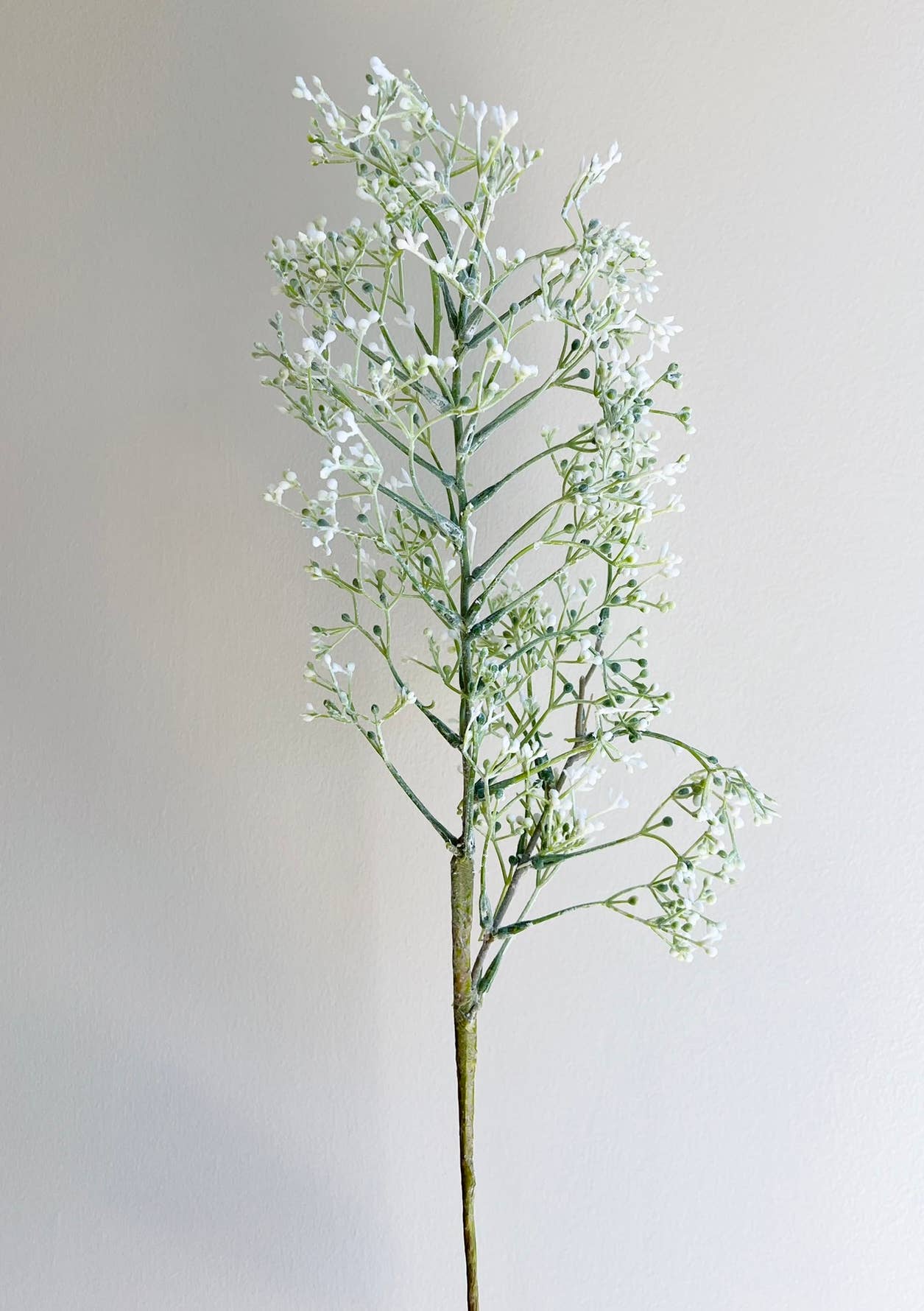 Angel Isabella - Wholesale Artificial Flowers - Designer's pick-Seeded Filler-Frosty White/Fall colors0