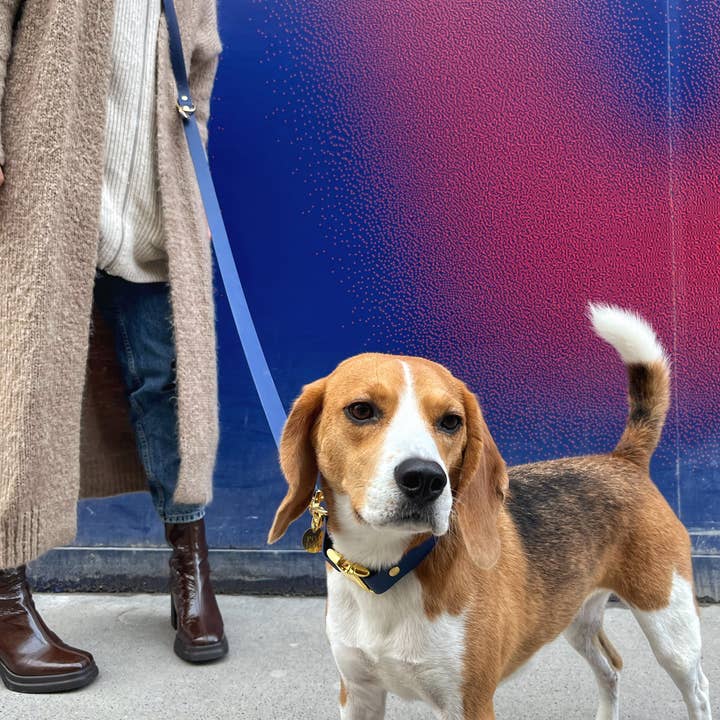 Pop Dog - Wholesale Pet Leash - Dog - The PATAPOUF shoulder leash4