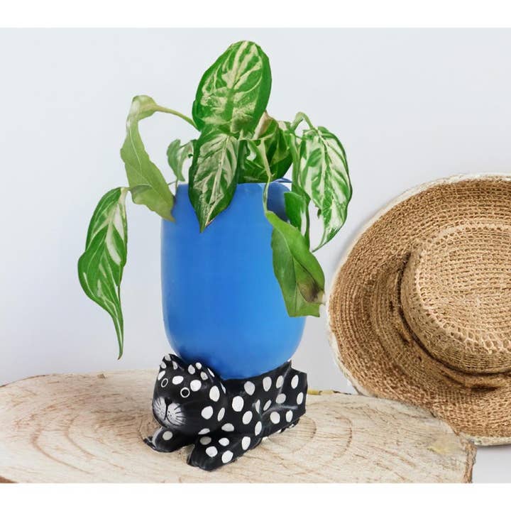 Shared Earth - Wholesale Plant pot - Planter / Bottle Holder on Cat Stand Albesia Wood 22x12x20cm1