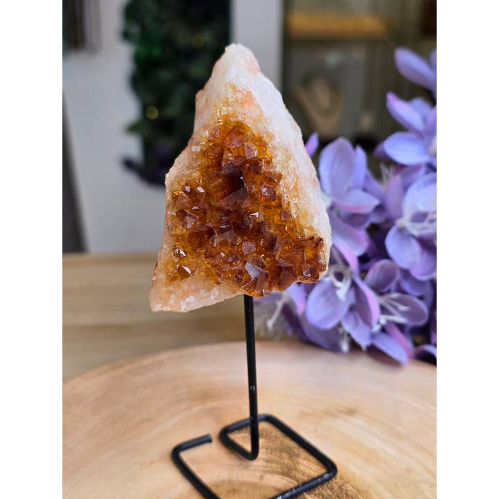 Citrinkluster på ställ - 13 cm x 5,5 cm - 190 g för wholesale av Crystal Cove Minerals