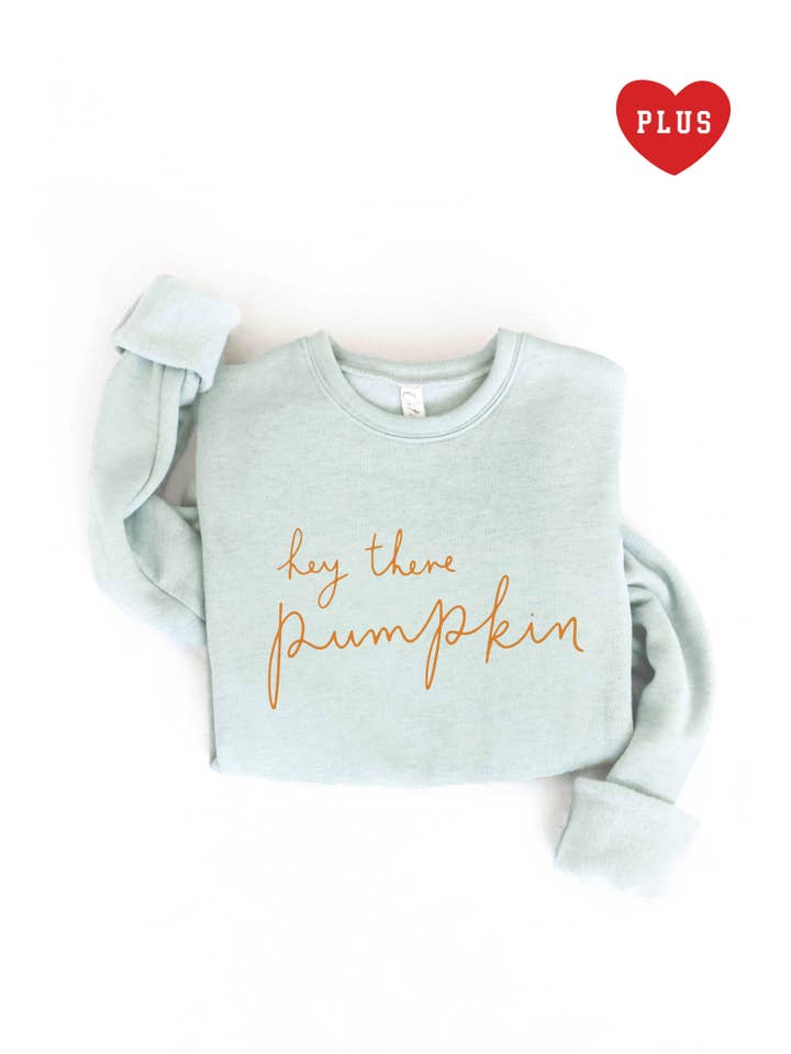 OAT COLLECTIVE - Wholesale Graphic Sweatshirt - Women's - HEY THERE PUMPKIN Plus Graphic Sweatshirt2