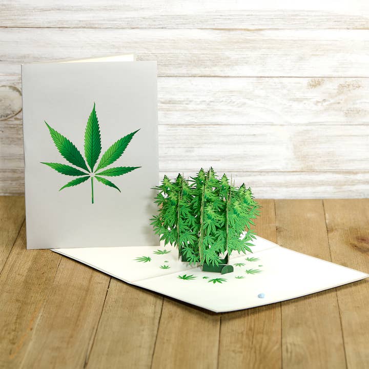 Dirty Pop Cards - Wholesale Everyday Greeting Card - Pot Plant Funny 3D Pop-Up Marijuana Stoner Greeting Card
