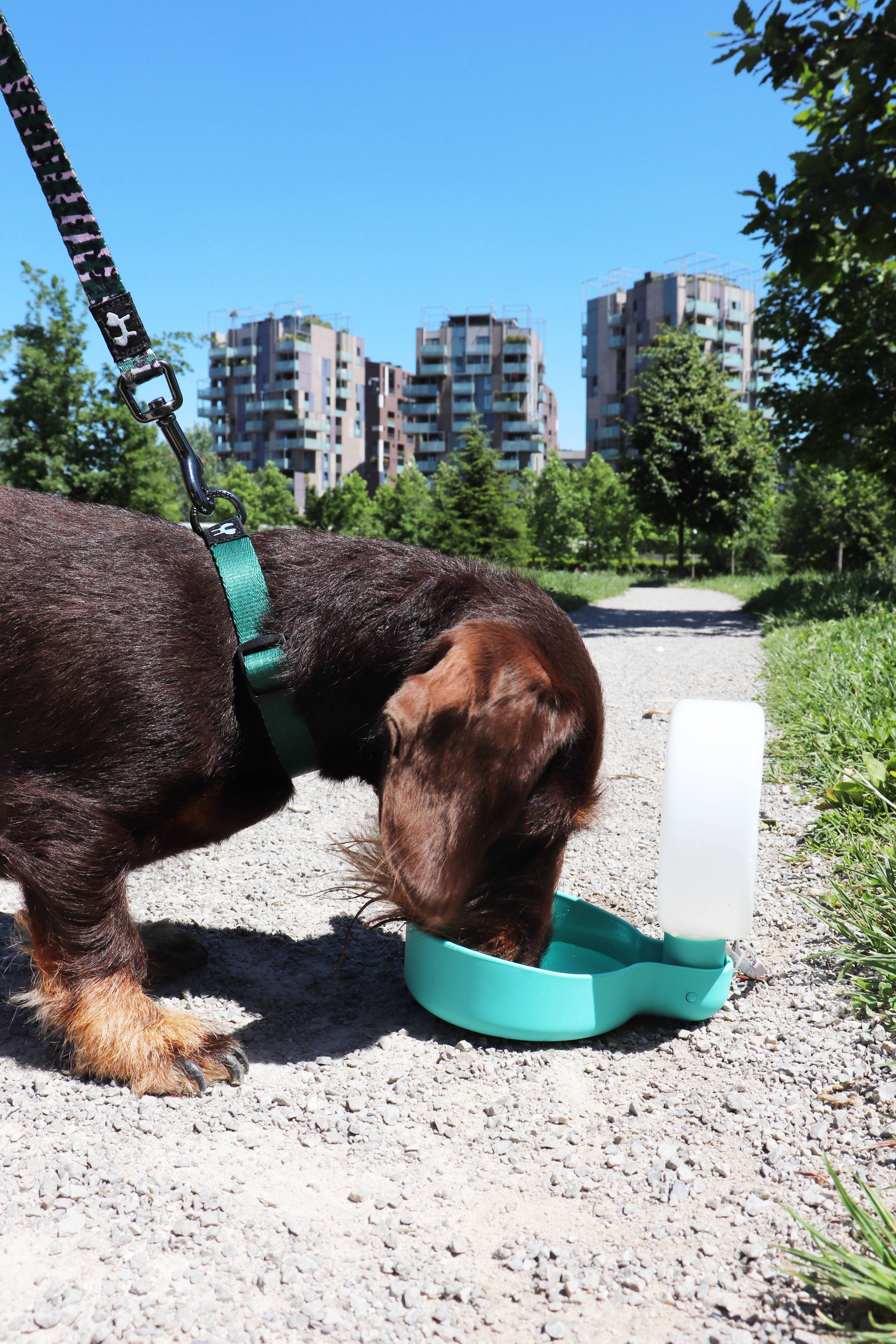 United Pets – wholesale Pet water bottle – Dog – Designer travel bottle with drip valve11