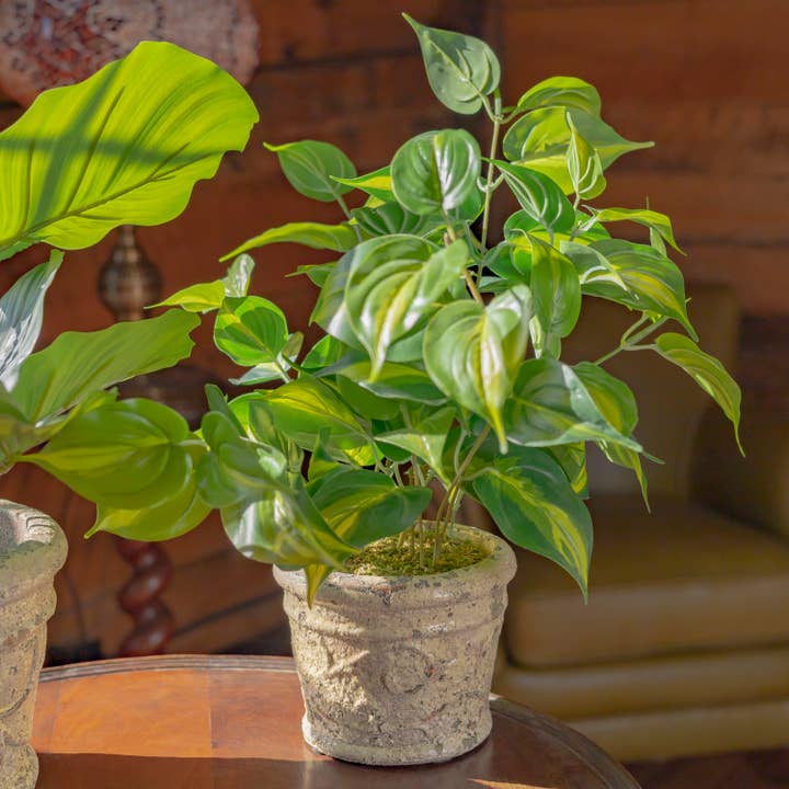 Zaer Ltd. International - Wholesale Plant Pot - 2 Assorted Tuscan Style Round Ceramic Flower Pots8