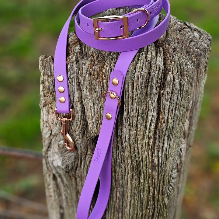 Trinkety Paws - Wholesale Pet collar – Dog - AMETHYST - Waterproof BioThane© Dog Collar / Dog Lead6