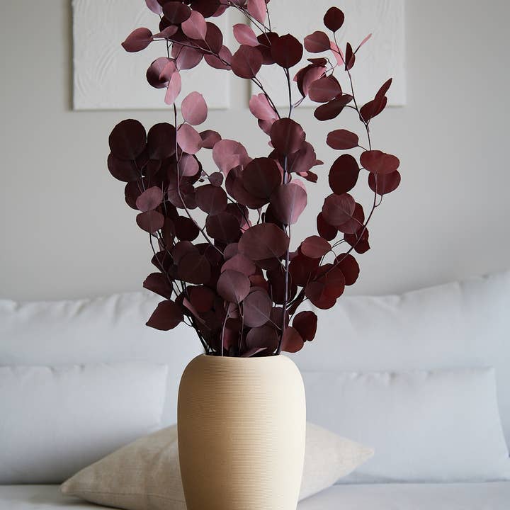 For Love Of Pampas - Wholesale Dried/Pressed Flowers - Preserved "Silver Dollar" Eucalyptus in Red