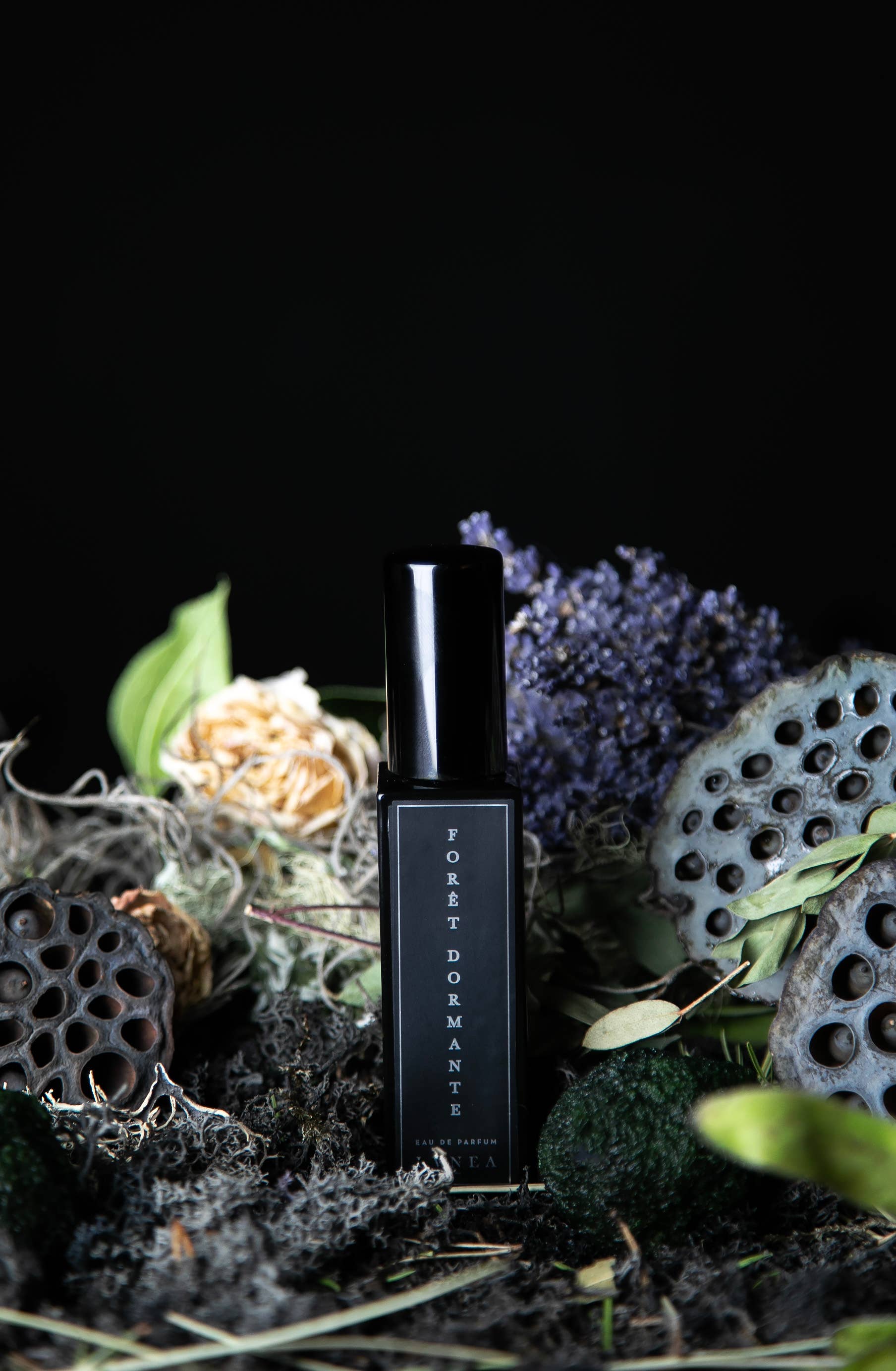 Lvnea Perfume - Wholesale Perfume/Eau de Toilette - FORÊT DORMANTE 30ml Eau de Parfum | Piñon, lavender, cypress